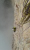 Dolomity 2014